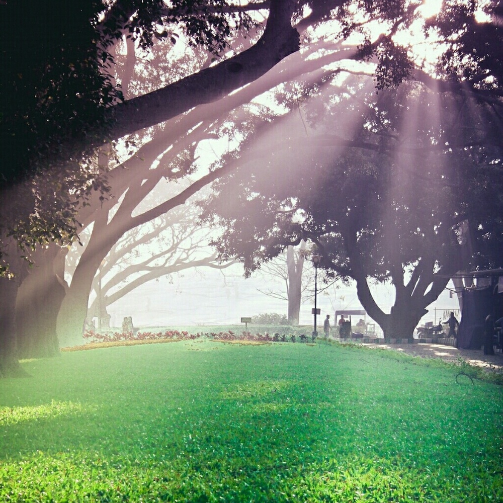 Meet your Posher, Cheryl